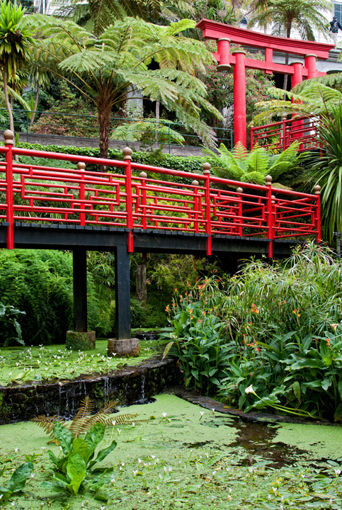 291_Madera_Jardim Tropical Monte Palace.jpg